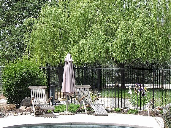 View from Pool