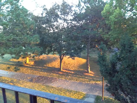 3rd image of 1471 N Winslowe Dr APT 303