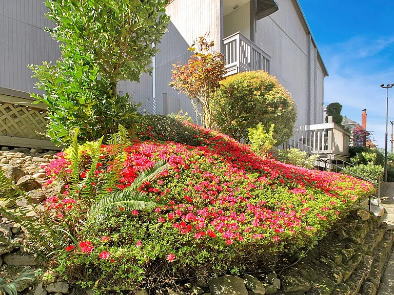 Nob Hill Apartments — Photo 19