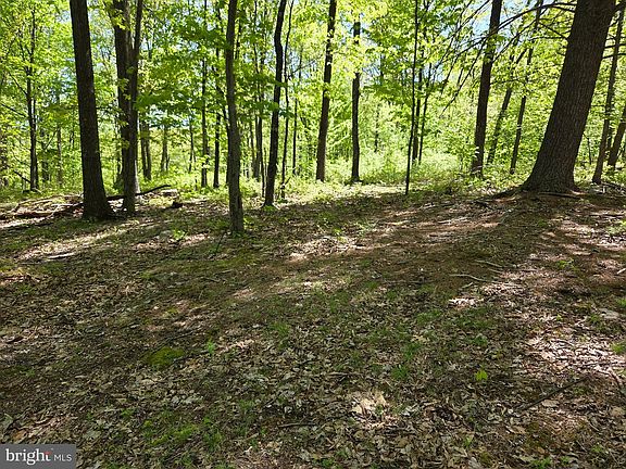 2nd image of 0 McCabe Rd