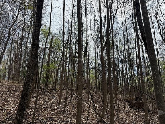 5th image of 0 Back Creek Rd