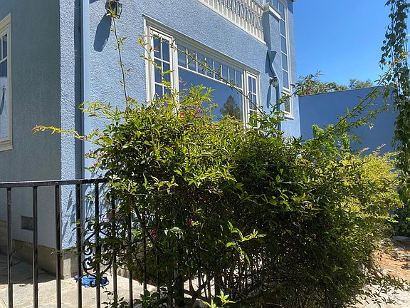 View from the garden