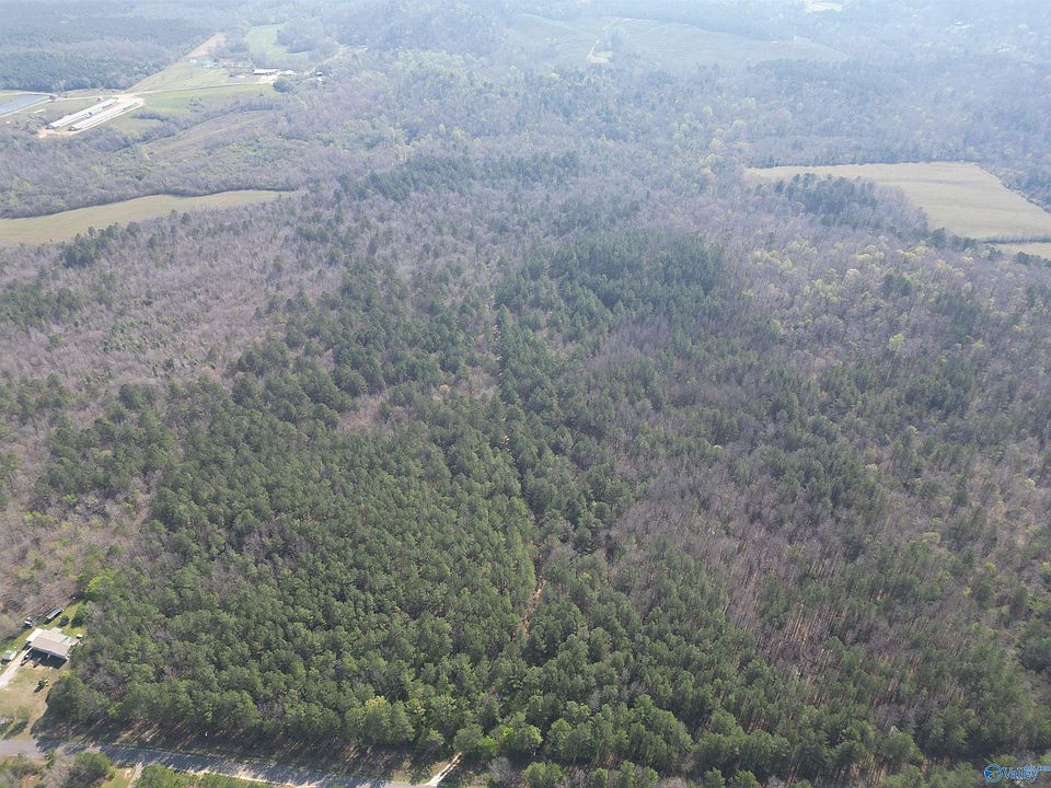 1st image of 80/ACRE S Pine Ridge Rd