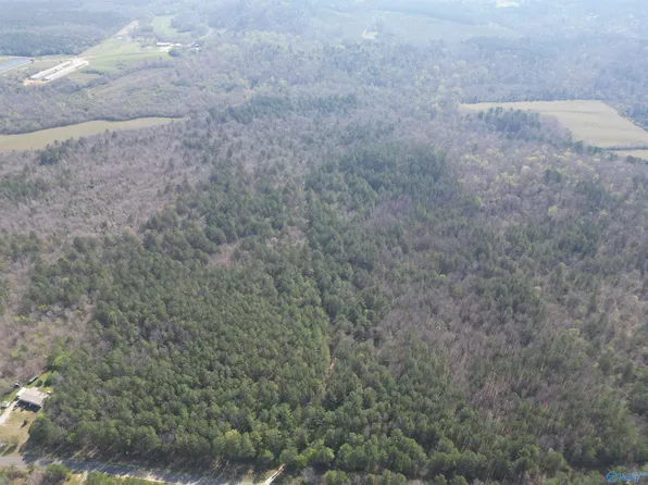 80/ACRE S Pine Ridge Rd, Wellington, AL 36279