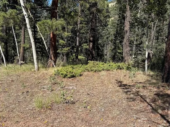 1007 Derby Dr, Cripple Creek, CO 80813