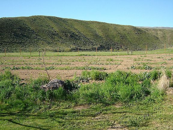 4th image of 36910 Highway 86