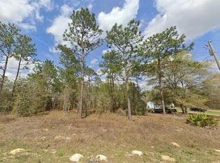 SW 94th Ln LOT 2, Dunnellon, FL 34432