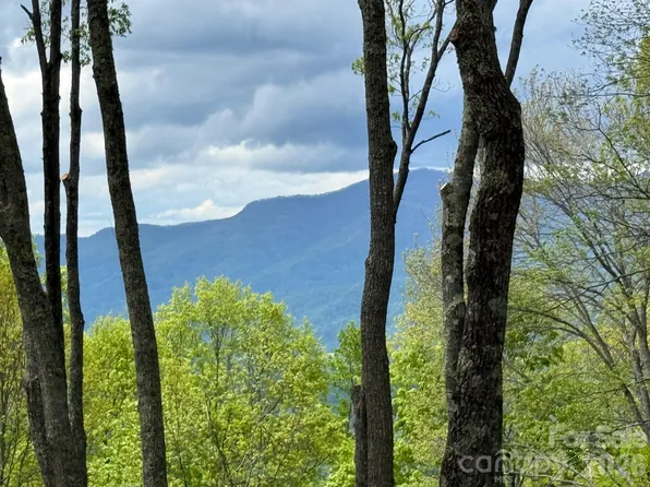1817 E Reach Rd #216, Sylva, NC 28779