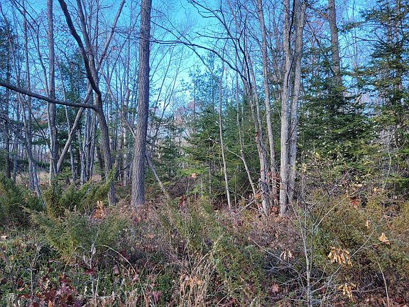 3rd image of LOT 8 County Road 646