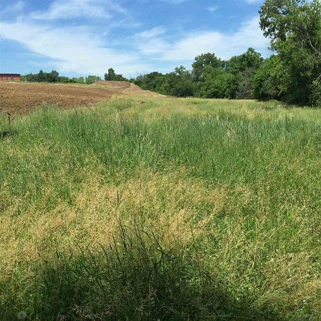 2nd image of 2504 Pheasant Creek Cir