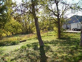 1st image of 177 Buffalo Creek Dr
