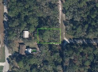 141 Audrey Ave NW, Lake Placid, FL 33852