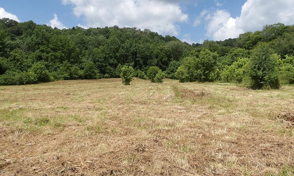 1st image of 56AC Lonnie Reecer Rd