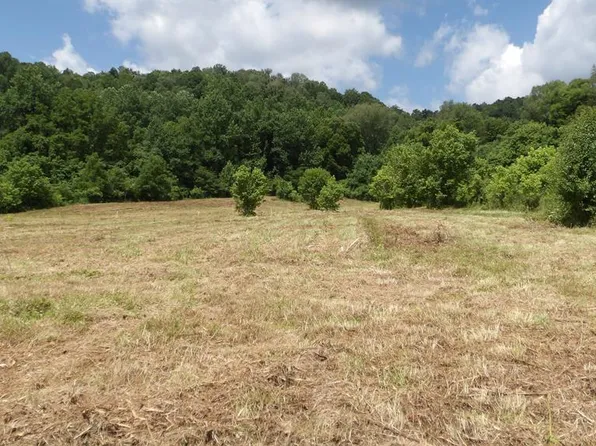 56AC Lonnie Reecer Rd, Celina, TN 38551