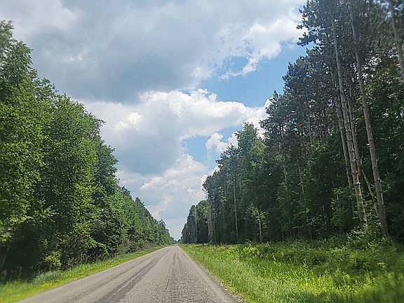 5th image of 3865 Little Rd
