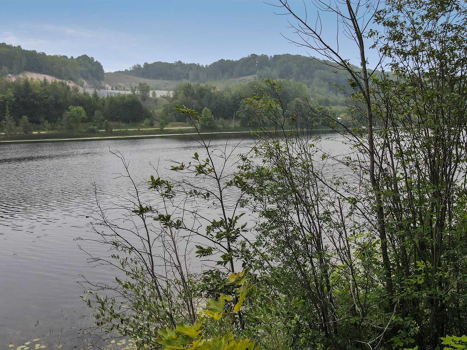 00 Ellsworth Rd, Ellsworth, MI 49729 Zillow