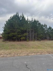 Wind Stone Dr, Toney, AL, 35773