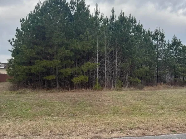Wind Stone Dr, Toney, AL 35773