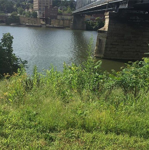 2nd image of 8 Bridge Blvd