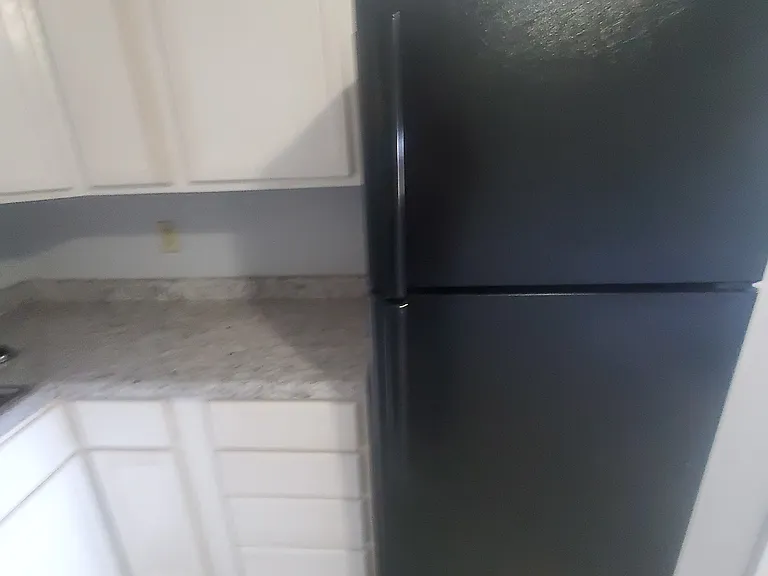 904 Hill St #214 — Photo 4