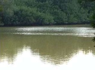 25121 Rice Tract Rd, San Benito, TX 78586