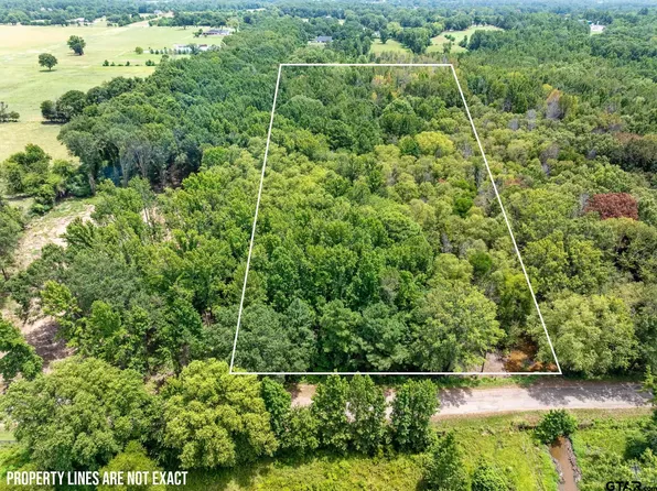 16369 County Road 1100, Tyler, TX 75703