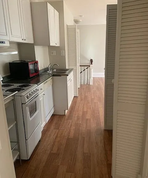 Kitchen area with Dishwasher, Microwave and Pantry.