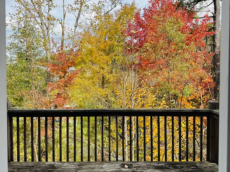 141 Alpine Ridge Dr #141 — Photo 28