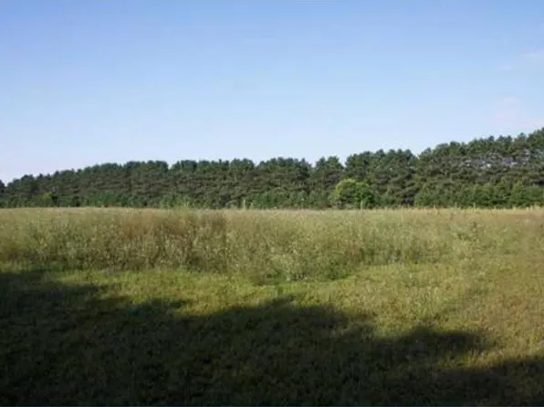 E Bethel Blvd NE, Cedar, MN 55011