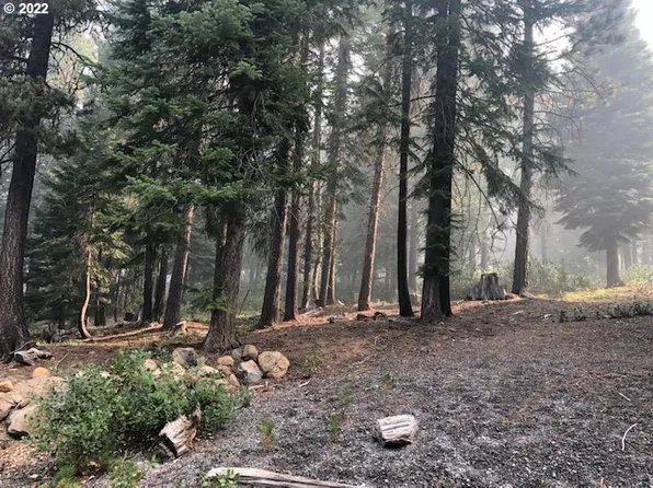 48 Clear Spring Way, Crescent, OR 97733