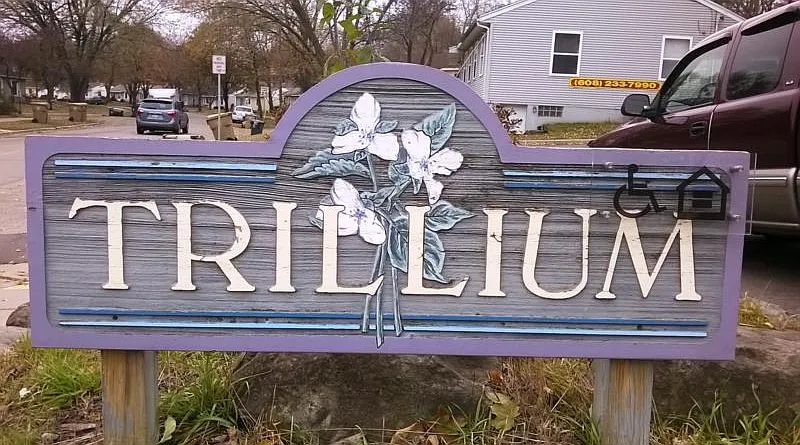 Trillium Homes