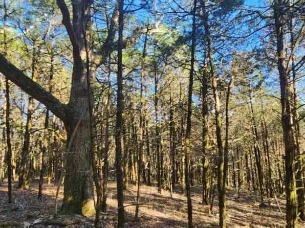 0 Celsor Rd, Hartsville, TN 37074