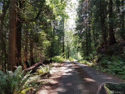 623069056 Tax Id, Issaquah, WA, 98027