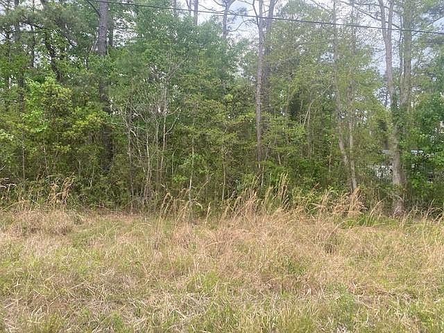 2nd image of 1388 Fifty Lakes Drive