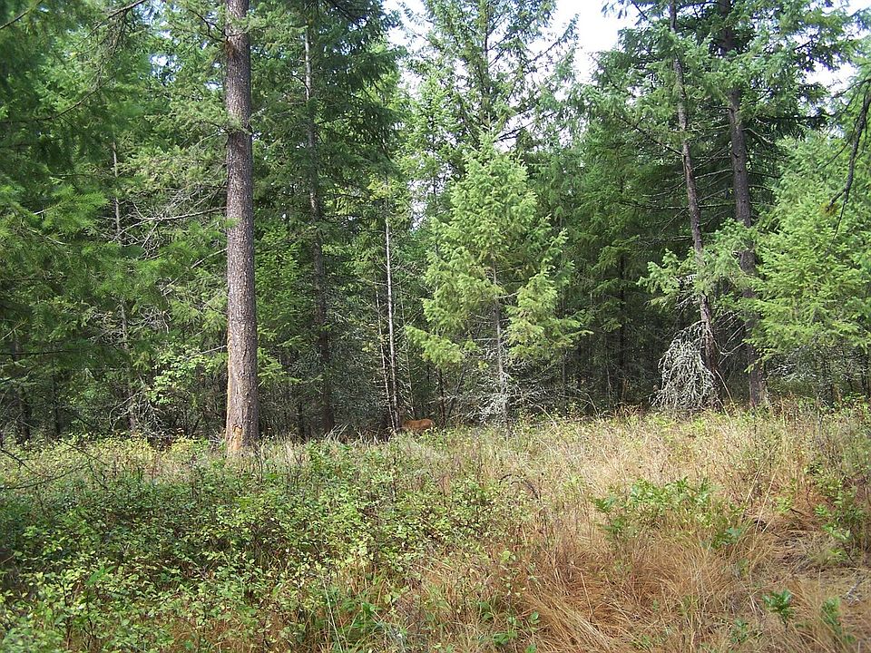 1st image of LOT 1 Kingsbury Lake Way