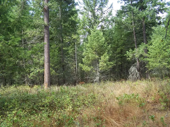 LOT 1 Kingsbury Lake Way, Kettle Falls, WA 99141