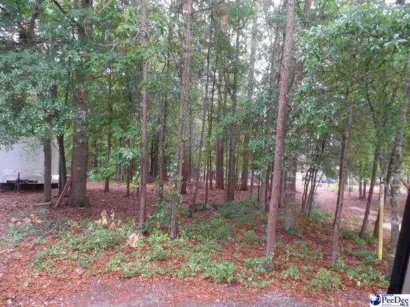 Palmetto Dr Lot 42, Hartsville, SC 29550