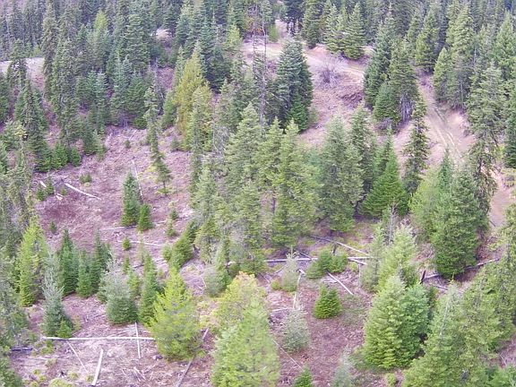 4th image of 11 Highway