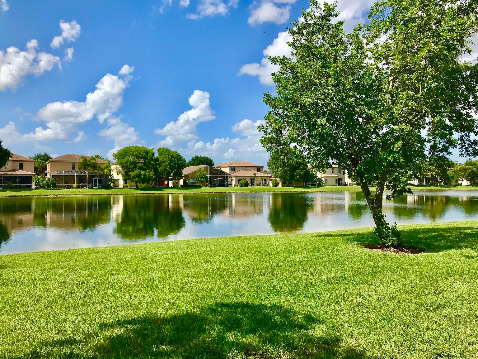 4 bed, 2.5 bath, 1906 sqft, $3,600 — Photo 2