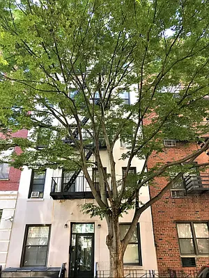 Rented by Bond New York | media 16