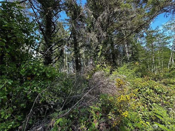 2385 Track 34 State Route 109, Ocean City, WA 98569