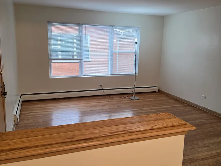 6750 N Sauganash Ave #2N — Photo 3