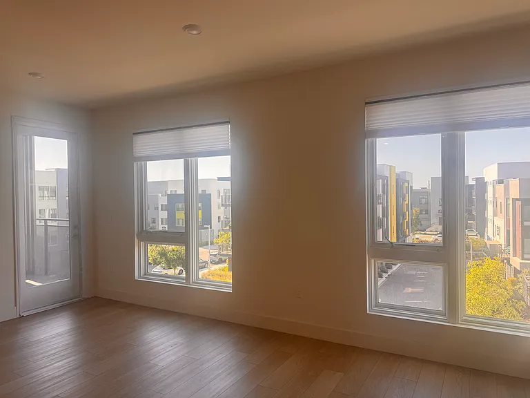 3698 Vision Cmn — Photo 25