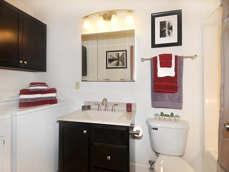 1005 W Stoughton St #312 — Photo 6