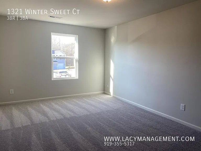 1321 Winter Sweet Ct — Photo 12
