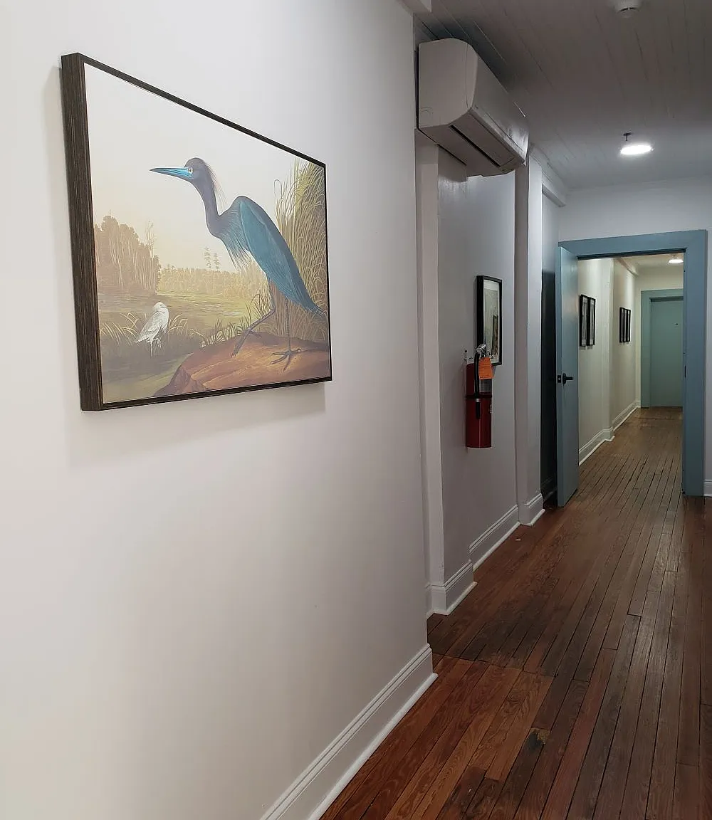 300 Laurel Street -L300AU - 5 — Photo 3