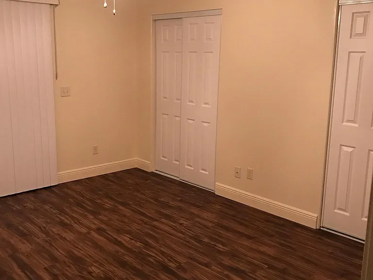 Downstairs Master Bedroom with 2 closets