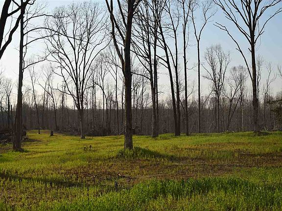 5th image of 0 Eastside Dr