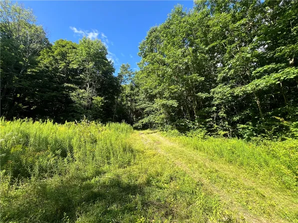Old Seventy Six Rd, Brooktondale, NY 14817
