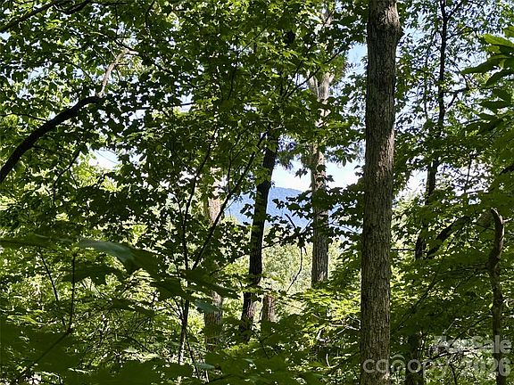 4th image of 0 Liberty Rd #21